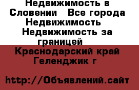 Недвижимость в Словении - Все города Недвижимость » Недвижимость за границей   . Краснодарский край,Геленджик г.